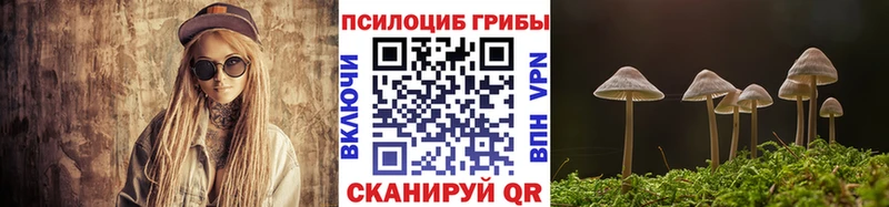 Псилоцибиновые грибы мицелий  ОМГ ОМГ как зайти  Кумертау  купить наркотики сайты 