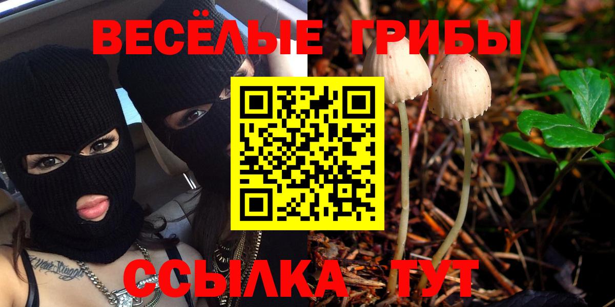 Кумертау  Галлюциногенные грибы MAGIC MUSHROOMS  Вход с VPN 